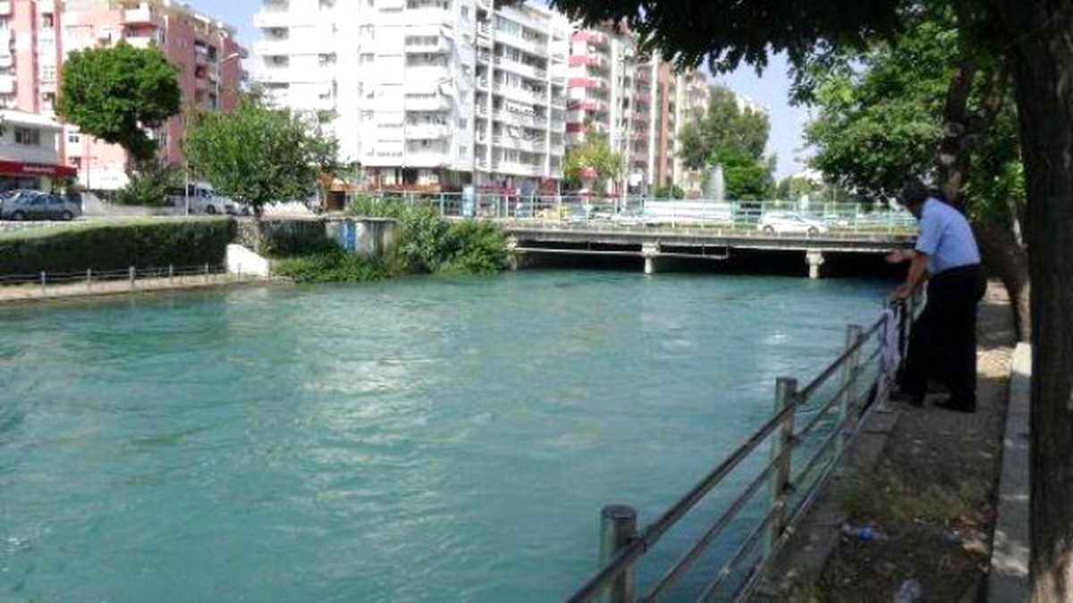 Yolda Yürürken Sulama Kanalına Düştü