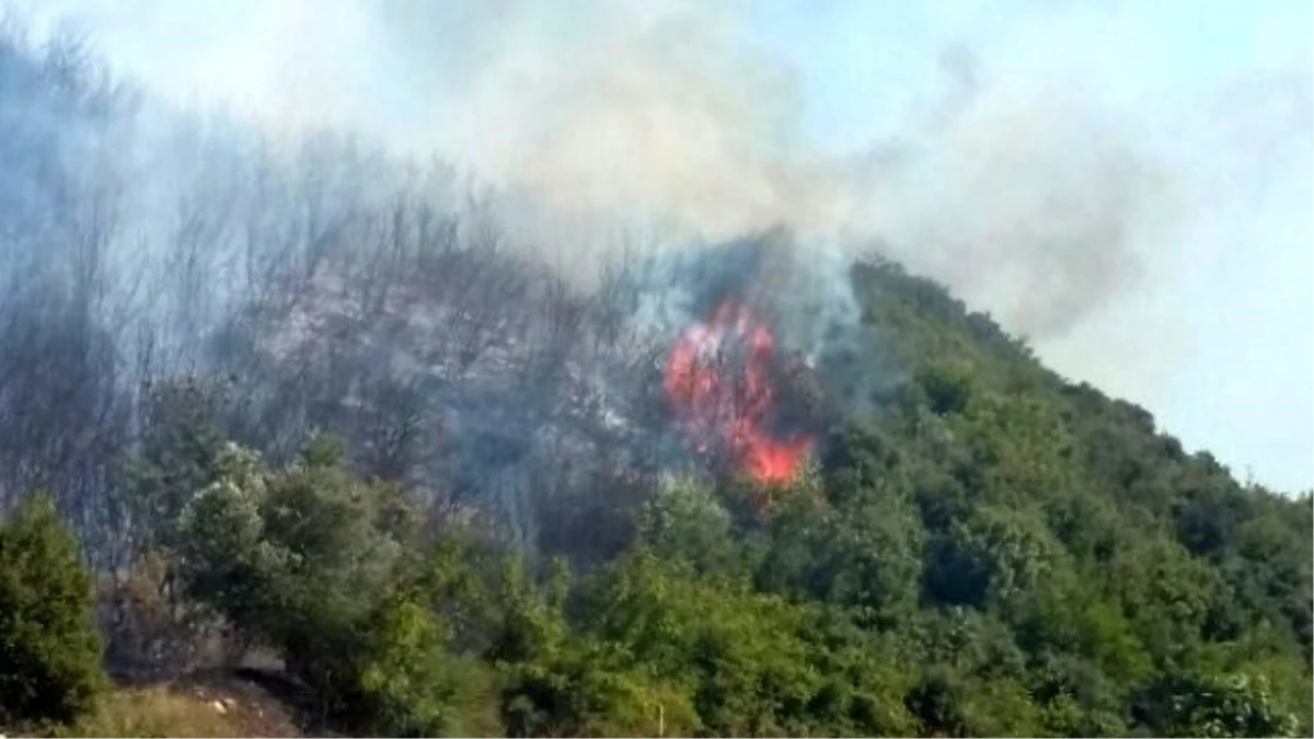 Çanakkale\'de Gelibolu\'nun Ardından İki İlçede Daha Yangın Çıktı