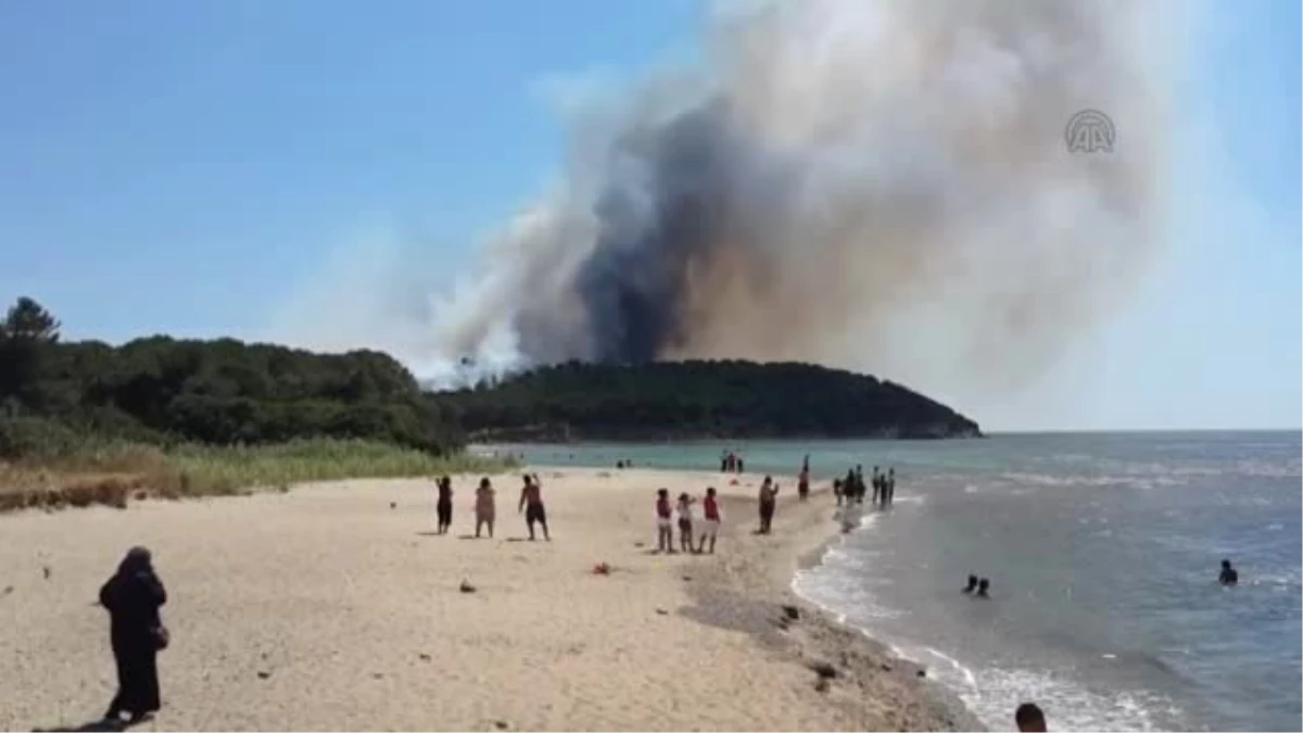 Gelibolu Yarımadası\'nda Orman Yangını