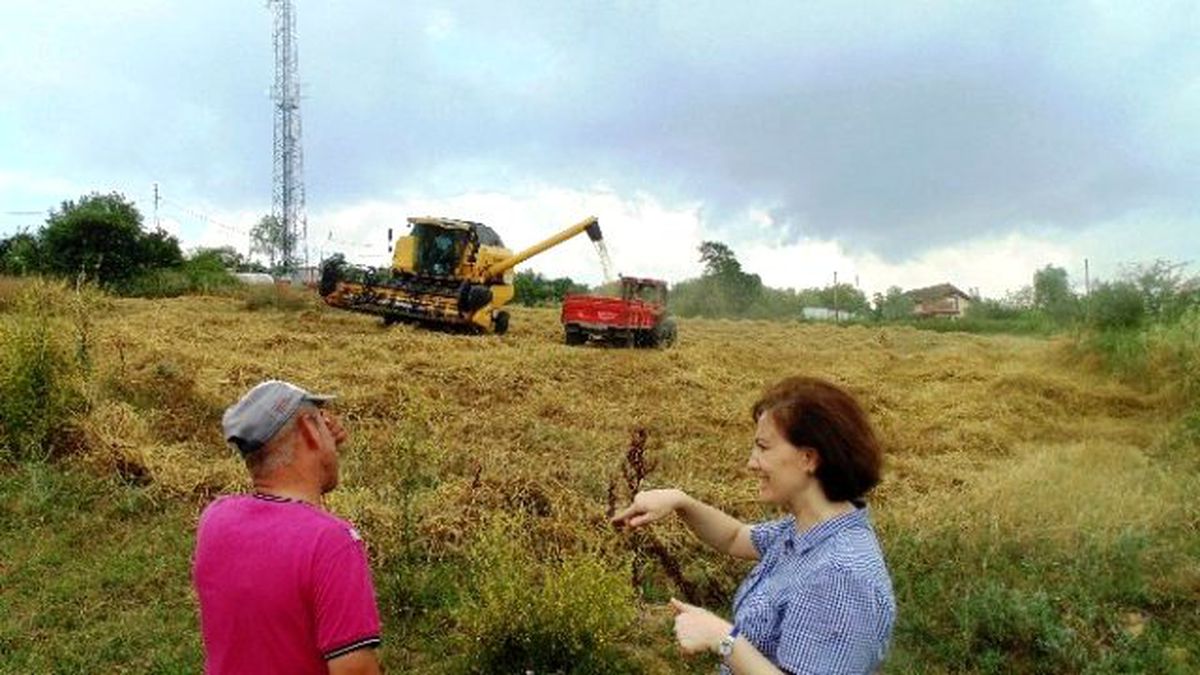 İzmit Belediyesi, İlçe Genelindeki Hizmetlerine Devam Ediyor