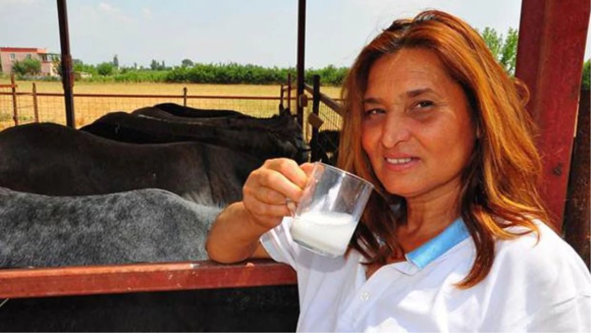 Kadın Girişimciden İnternetten Eşek Sütü Satışı