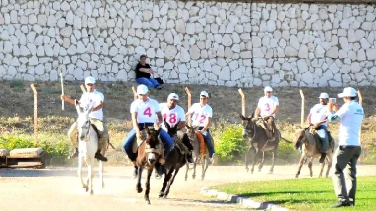 Eşeğe Düz Binme", "Eşeğe Ters Binme" ve "En Güzel Gözlü Eşek" Yarışmaları