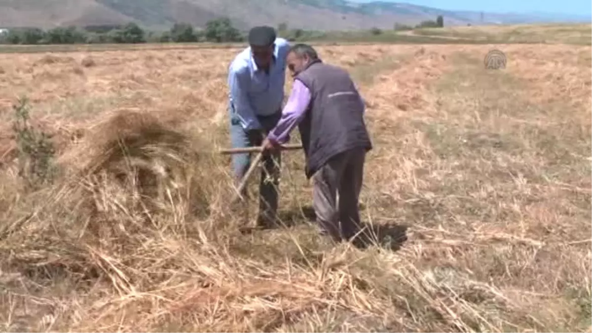 Etkili Sağanak Tarım Arazilerine Zarar Verdi