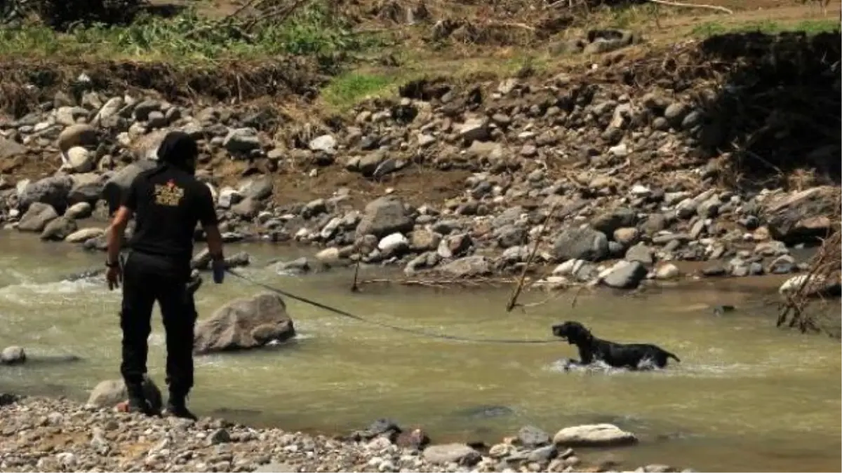 Ordu\'da Selde Kaybolan 2 Kişi, Köpeklerle Aranıyor