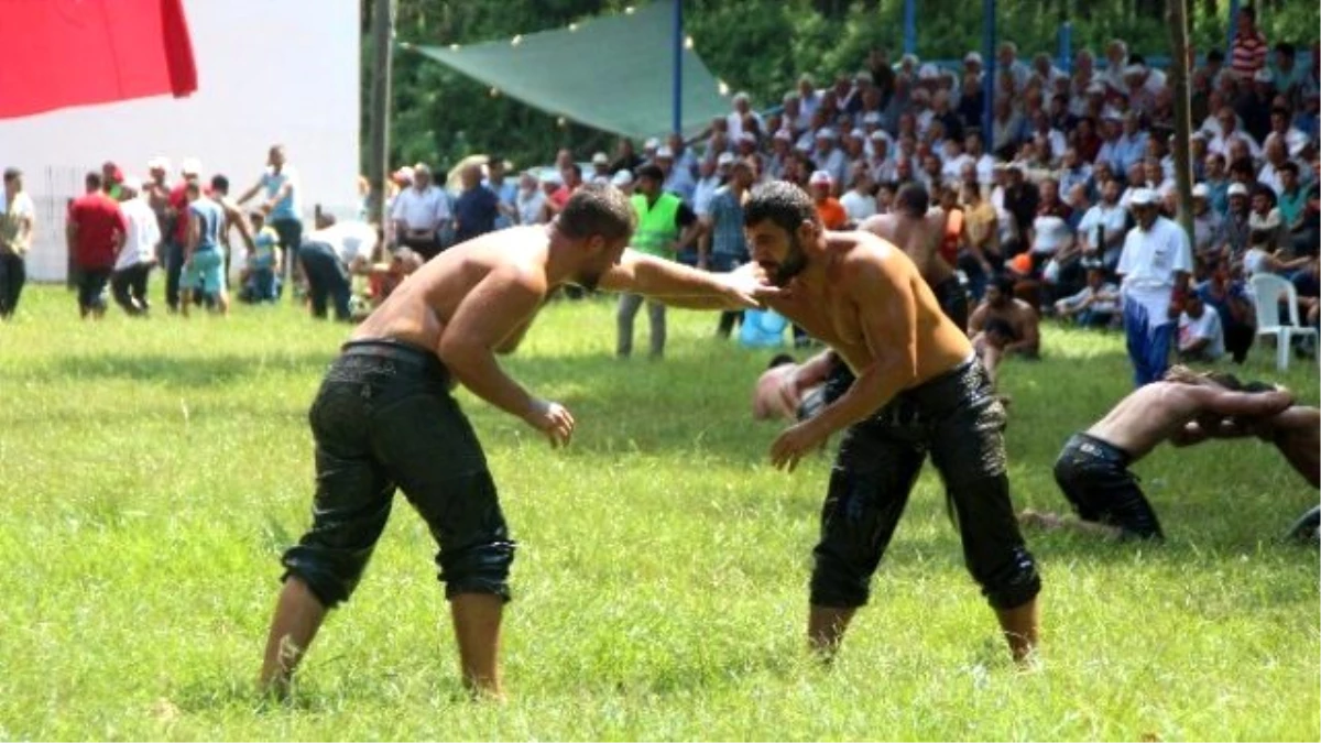 Akbalık Yağlı Güreşleri\'nde 54\'üncü Başpehlivan Recep Kara