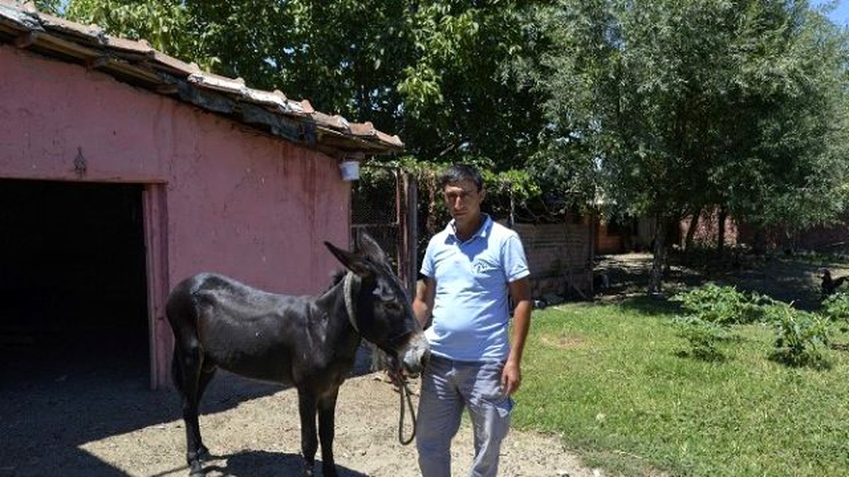 Eşeği Kamyonetin Kasasına Bağlayarak Çeken Bekçi Konuştu Açıklaması