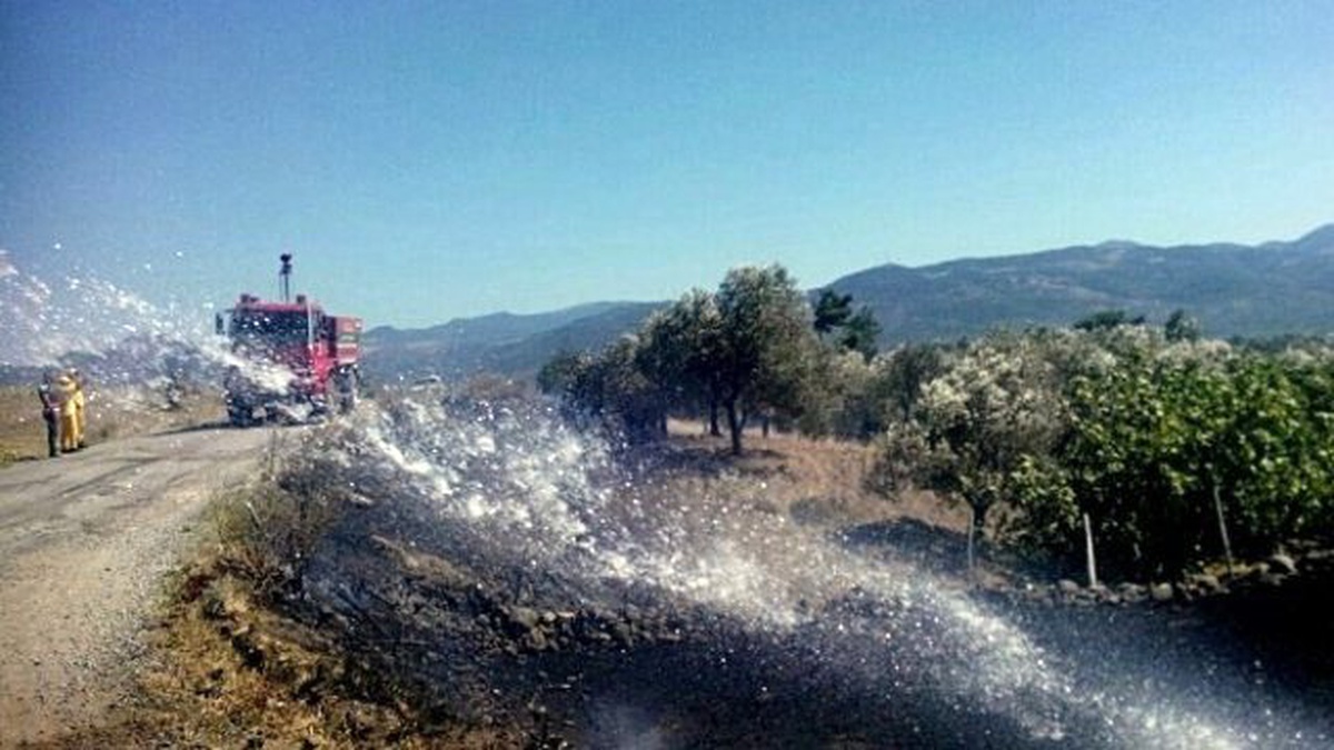 Havran\'da Mahalleyi Ateşten İtfaiye Kurtardı