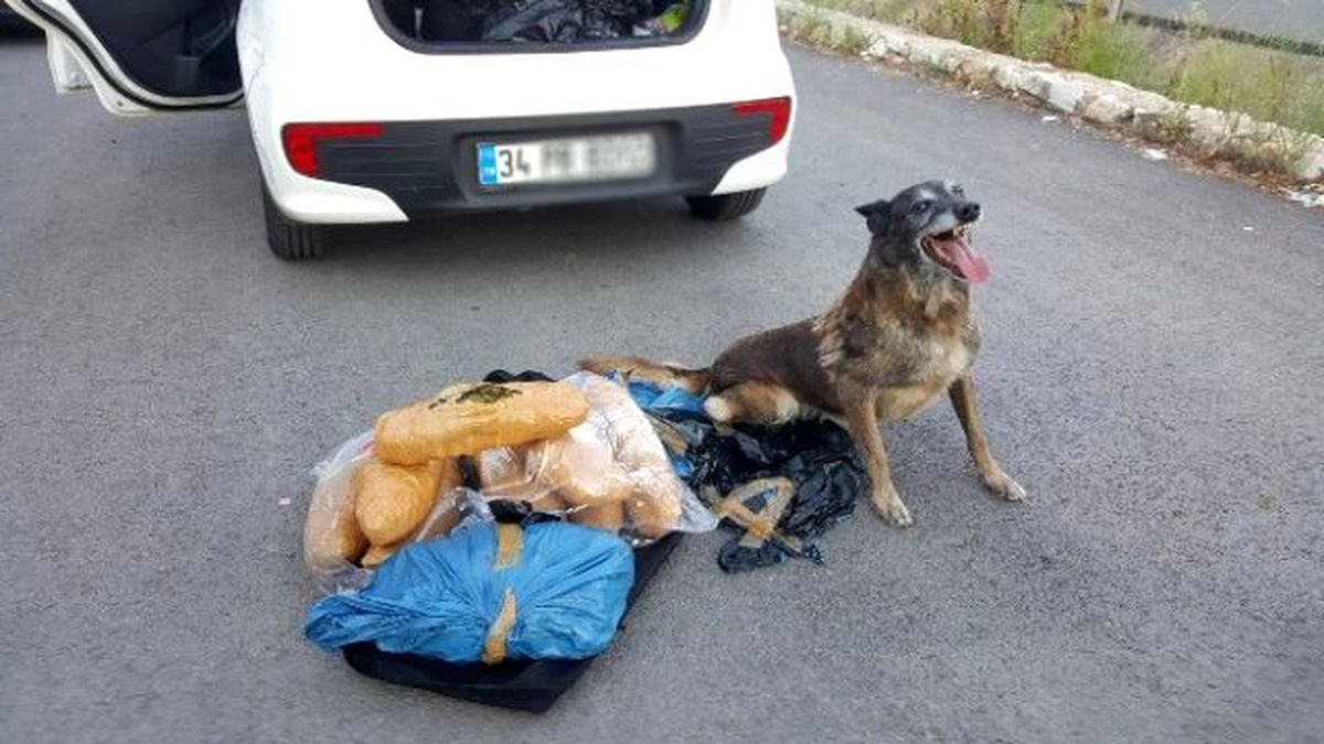 Uşak\'ta 10 Kilo 740 Gram Esrar Maddesi Ele Geçirildi