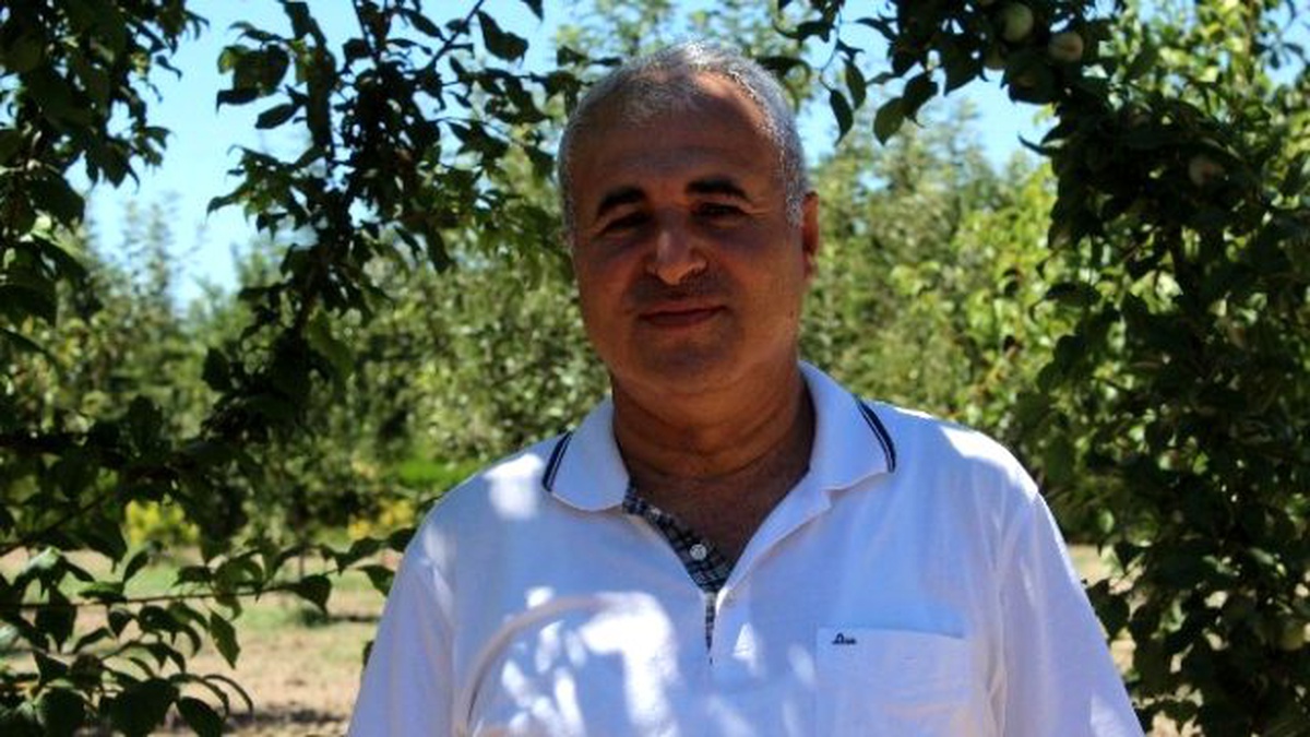 Yağmurdan Etkilenen Kayısı Üreticilerine Tavsiye