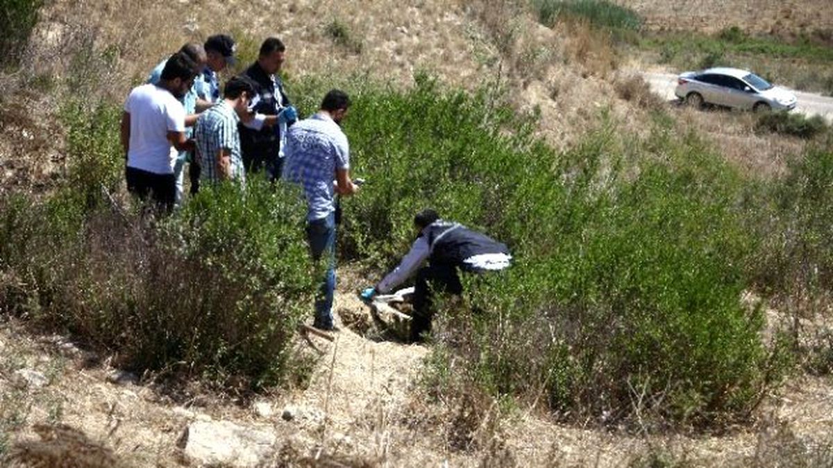 Bebek Cesedi Sandılar Çarşafa Sarılı Köpek Leşi Çıktı
