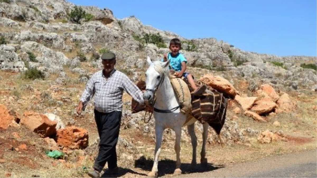 Belde Halkı Eşek ve Katır Sırtında Su Taşıyor