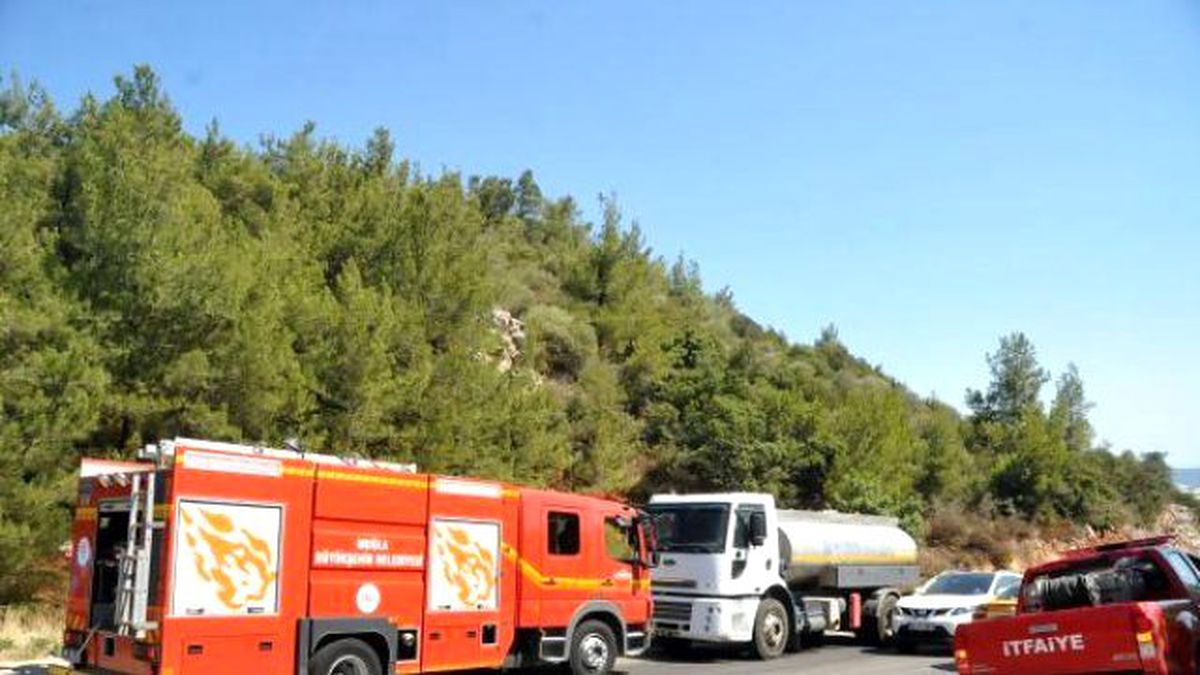 Bodrum\'da Yol Kenarındaki Ağaçlar Yandı