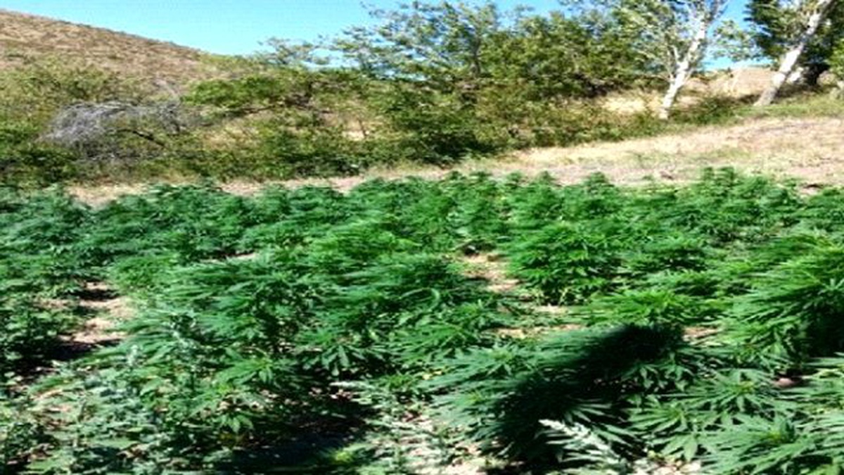 Malatya\'da Jandarma Zehir Tacirlerine ve Dolandırıcılara Geçit Vermiyor