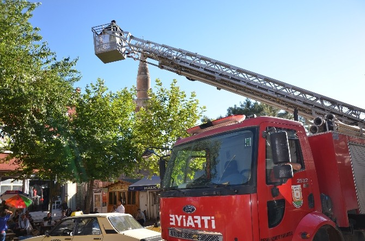 Siverek\'te Kedi Kurtarma Operasyonu