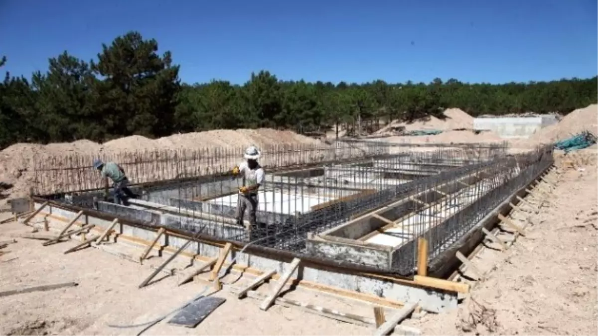 Zafran Mesire Alanında Dönüşüm Sürüyor