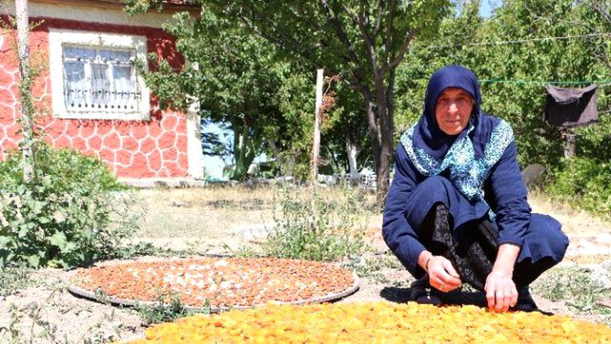 70 Yaşındaki Fatma Nine, Eşinin Vasiyetini Gerçekleştirmek İçin Köyünü Terk Etmedi