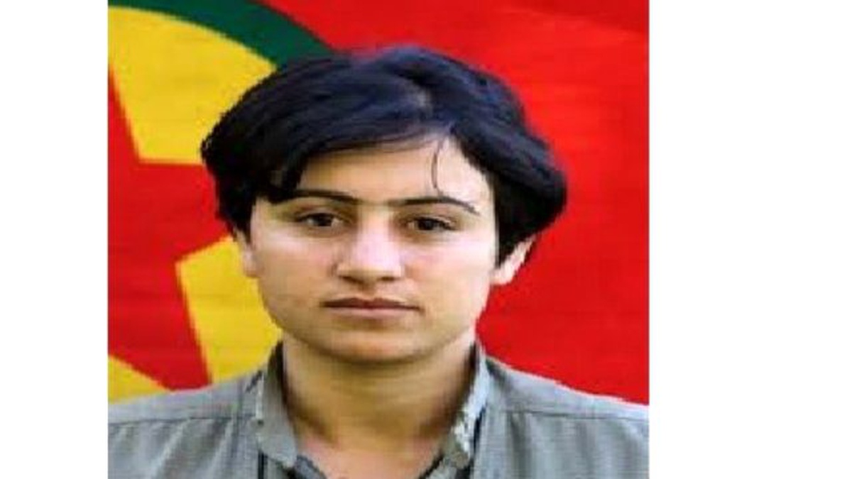 Batman Doğumlu PKK\'lı Okalin Çatışmada Öldürüldü