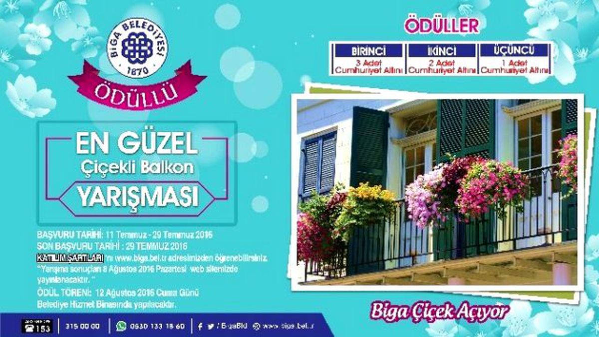 Biga Çiçek Açıyor