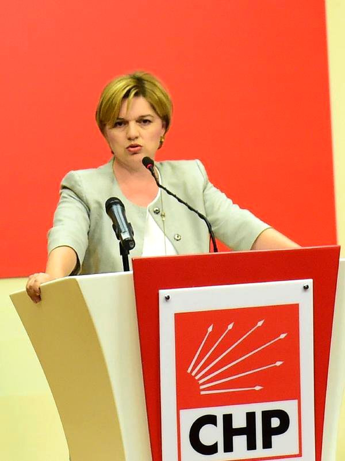 CHP\'li Böke: Suriyelilere Vatandaşlık Değil Vatanları Verilmeli