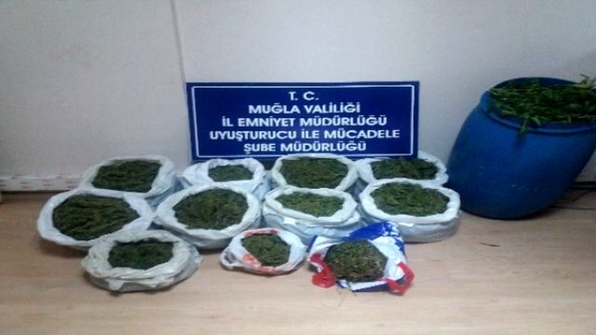 Dalaman ve Köyceğiz\'de Uyuşturucu Operasyonu