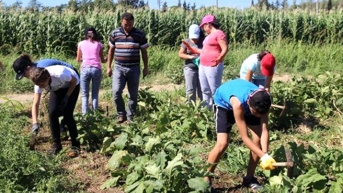 Eğlenerek Üretiyorum\' Yaz Kampı Başladı