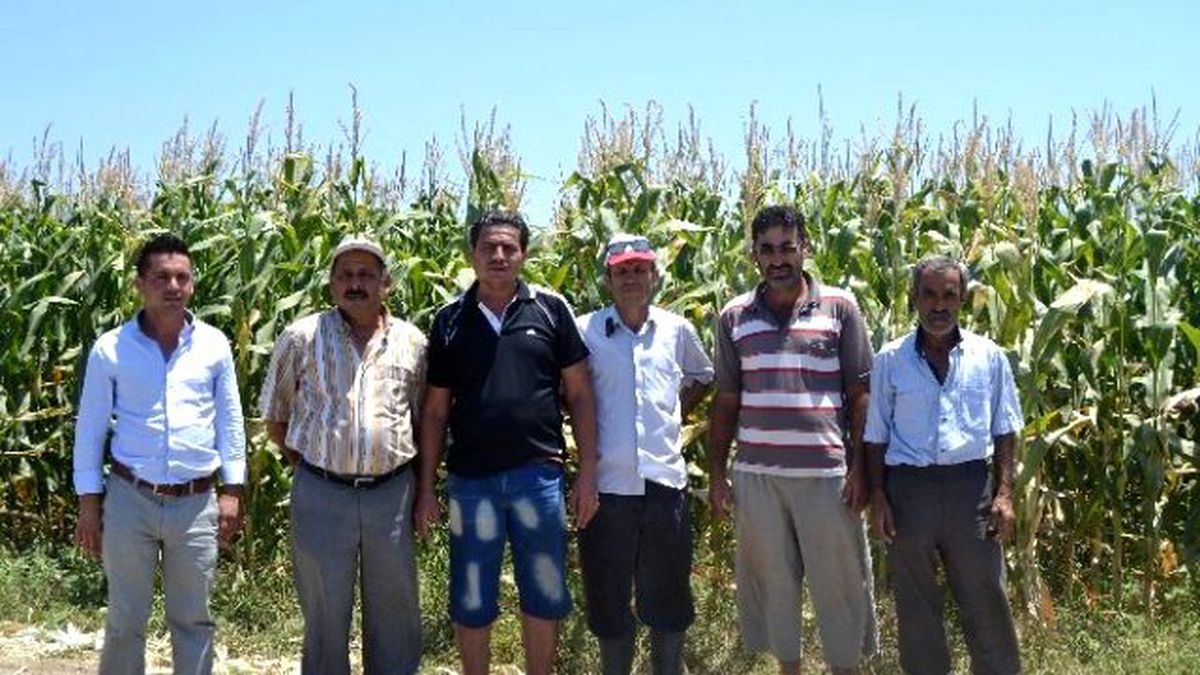 Fethiyeli Çiftçilerin Sulama Suyu Sıkıntısı İdddiası