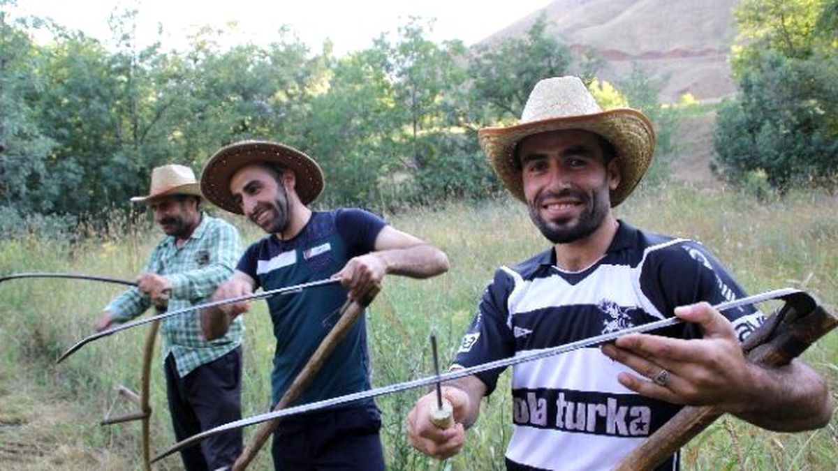 Hakkari\'de Ot Biçme Zamanı Başladı