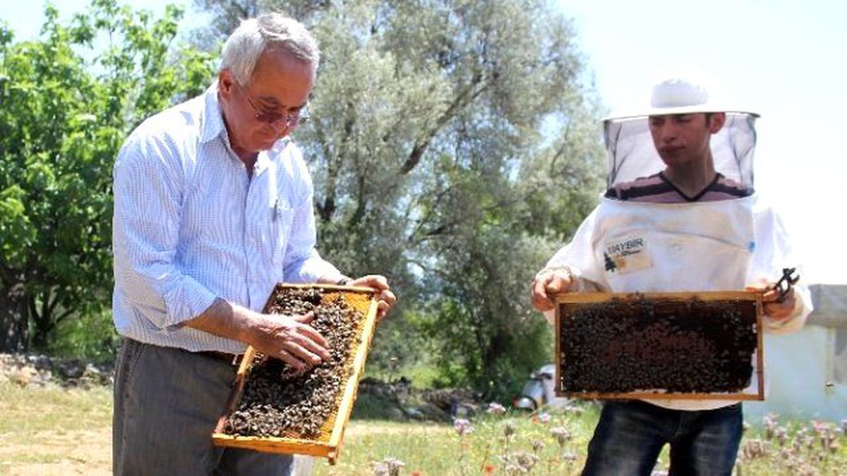 Kovan Arttı, Üretim Düştü