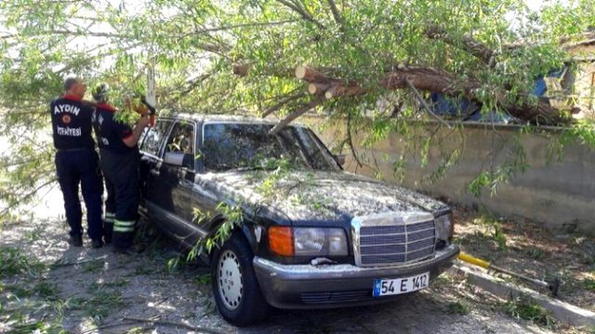 Lüks Otomobilin Üzerine Ağaç Devrildi
