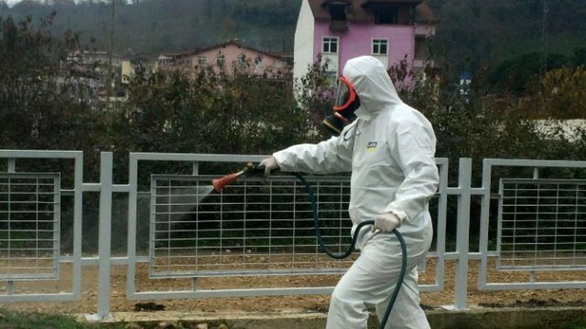 Ordu\'da 700 Bin Hektarda Haşere Mücadelesi
