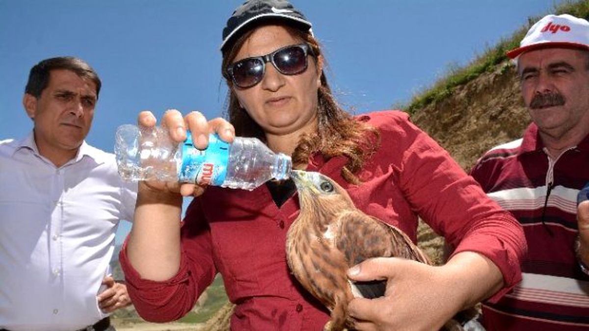 Şahinin Yediği Kursağında Kaldı