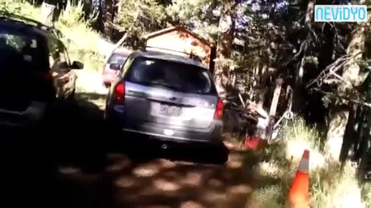 Bagajda Kilitli Kalan Ayı, Arabayı Parçaladı