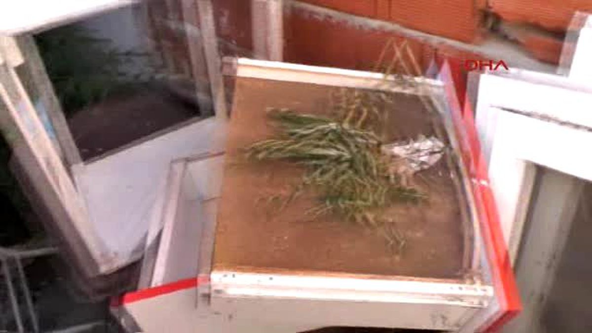 Edirne'de Esrar İmal Edip Satan Baba-Oğlun Evine Operasyon