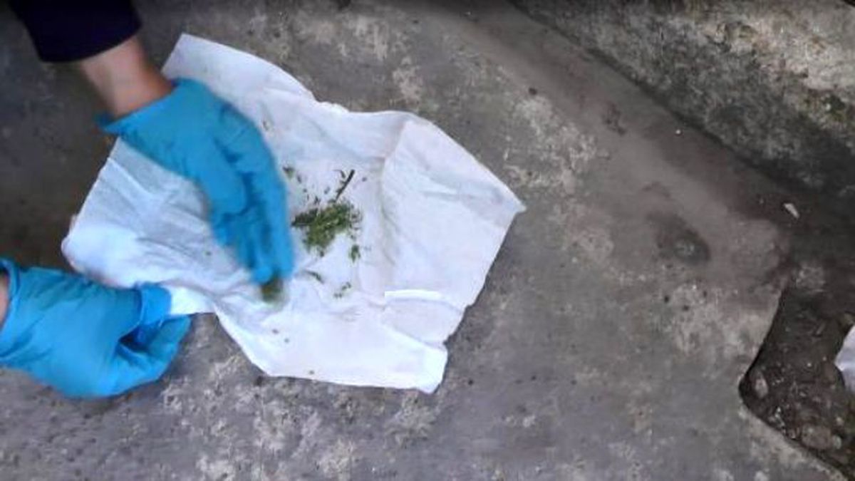 Esrar İmal Edip Satan Baba- Oğulun Evine Operasyon