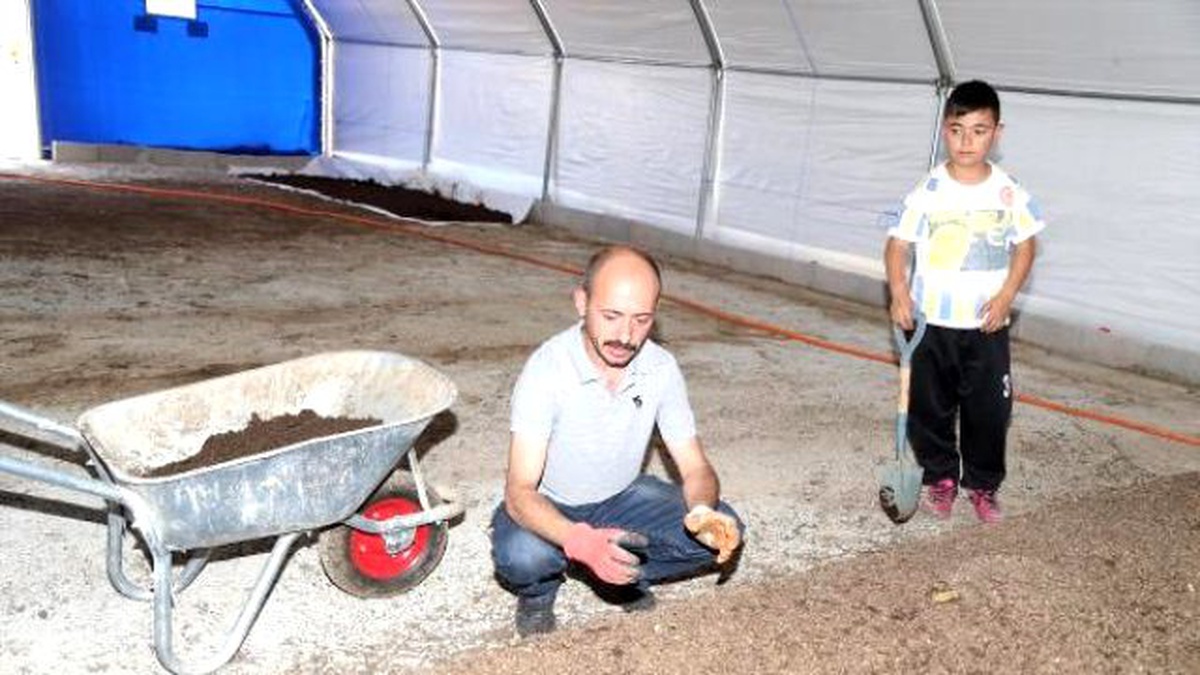Kaliforniya\'dan Getirdikleri 400 Bin Solucanla Organik Gübre Üretiyorlar