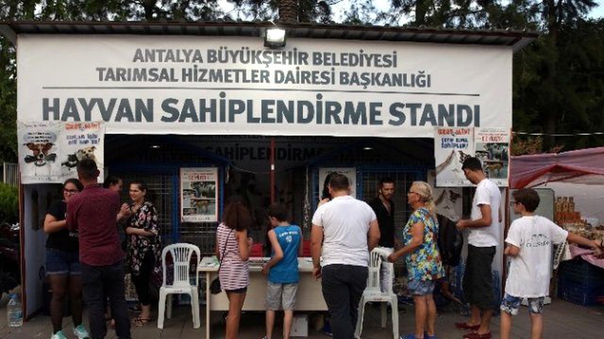 Ramazan Ayında 110 Kedi ve Köpek Sahiplendirildi