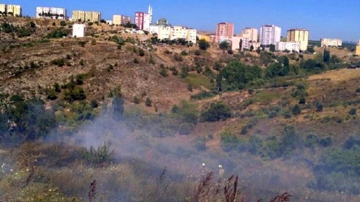 Bandırma\'da Arazi Yangını