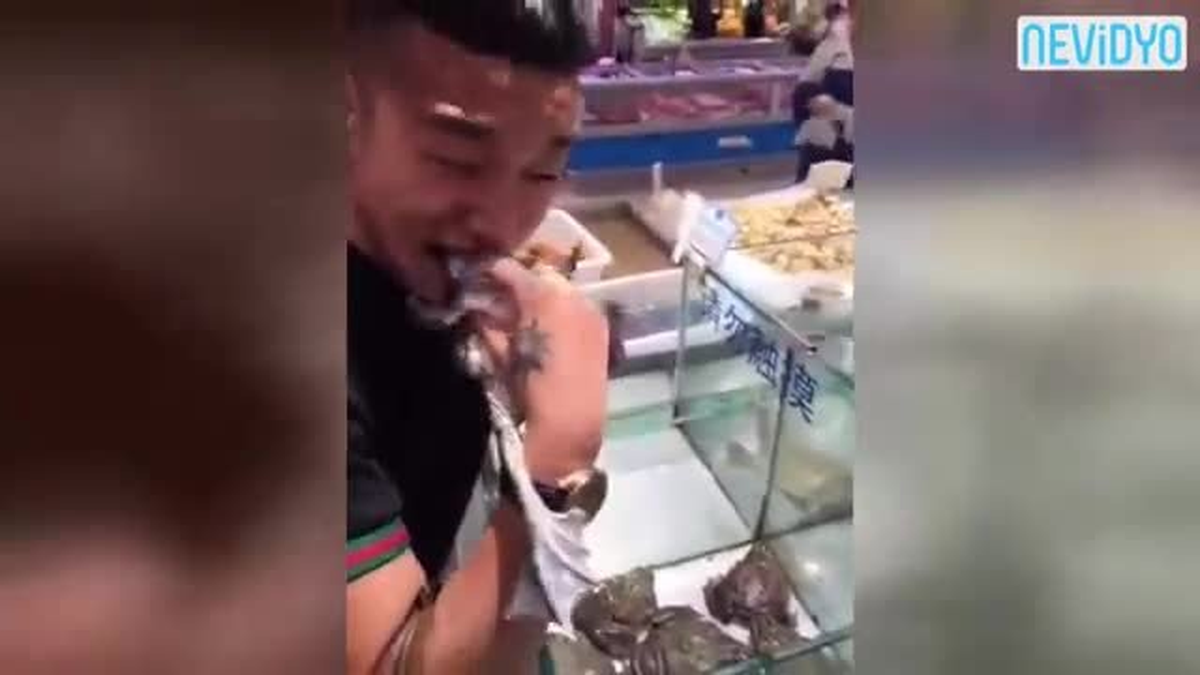 Canlı Canlı Kurbağa Yedi