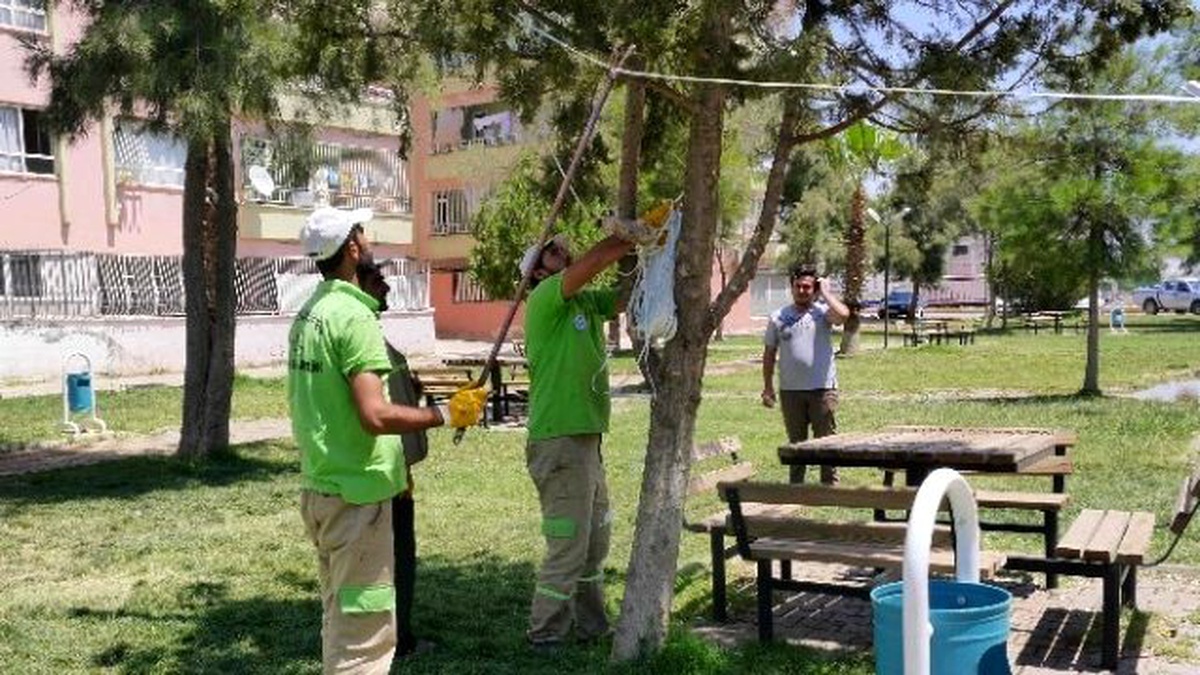 Haliliye\'de Sineklerle Mücadelede Yeni Yöntem
