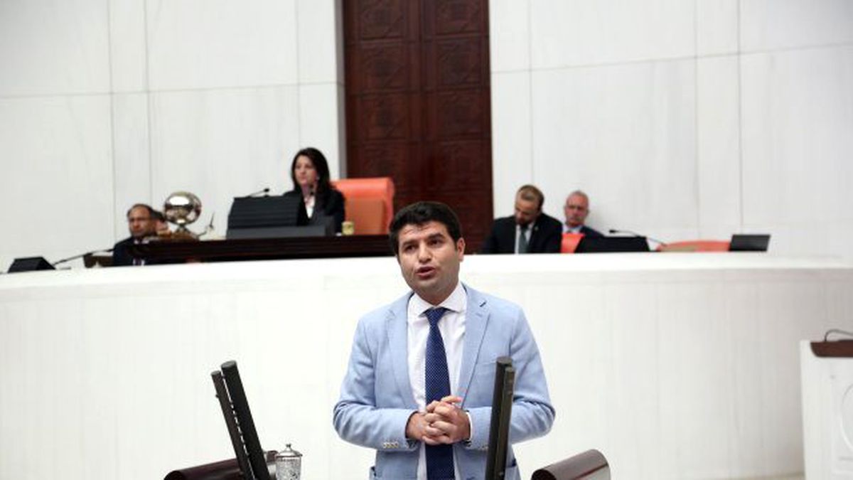 HDP\'den, Bakan Çelik\'e Anız Yangınları Soru Önergesi