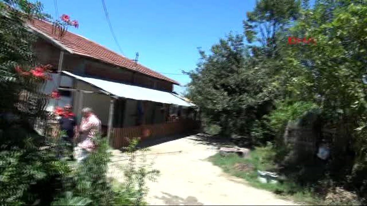 Kocaeli Alevlerin Arasında Kalan İneklerini Kurtardı