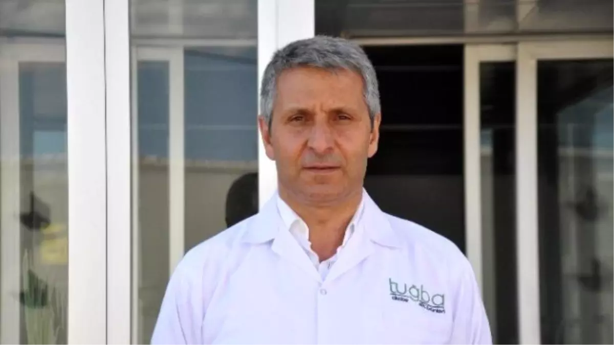 Sivas\'tan Dünyaya \'Mozzarella Peyniri\' İhraç Ediyorlar