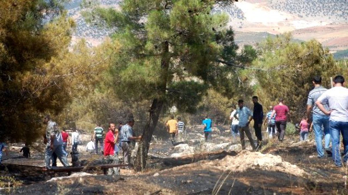 Adıyaman\'da, Orman Yangını Kontrol Altına Alındı