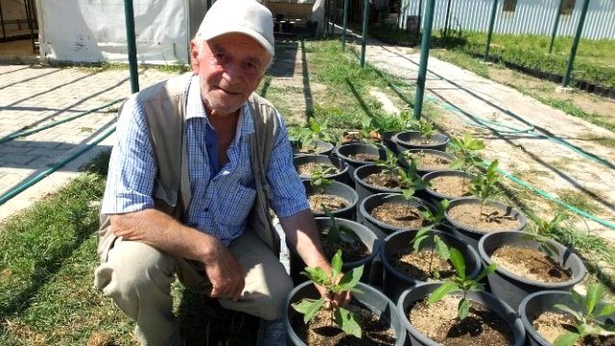 Burhaniye\'de Emekli Albay Darbecilere Lanet Yağdırdı