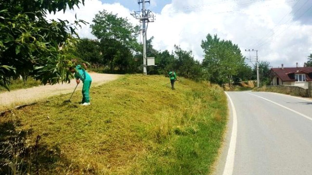 İzmit\'te, Tırpan Çalışmaları Devam Ediyor