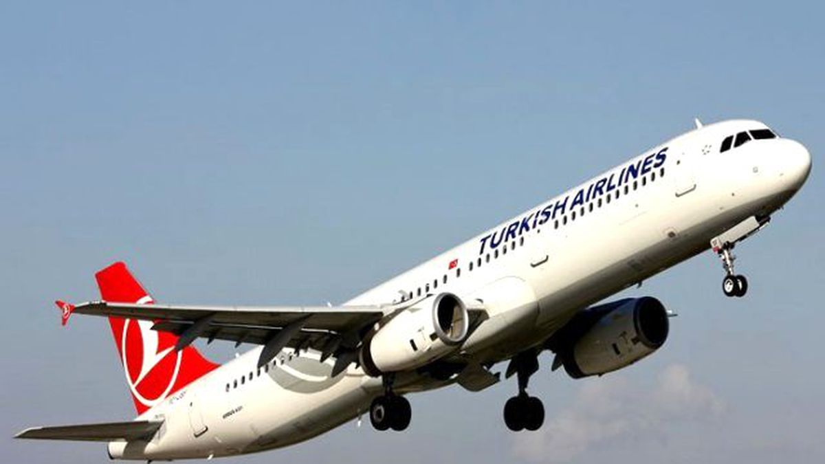 THY, 179 Seferini İptal Etti