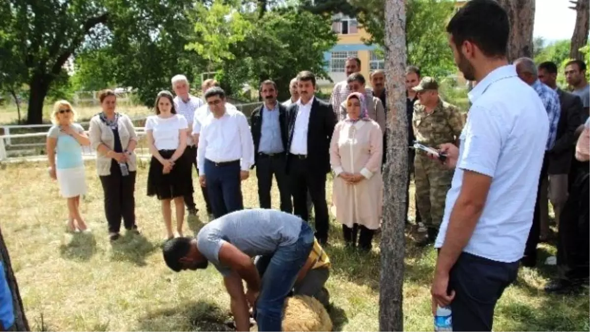 Varto\'da Mevlit Okutuldu Kurban Kesildi