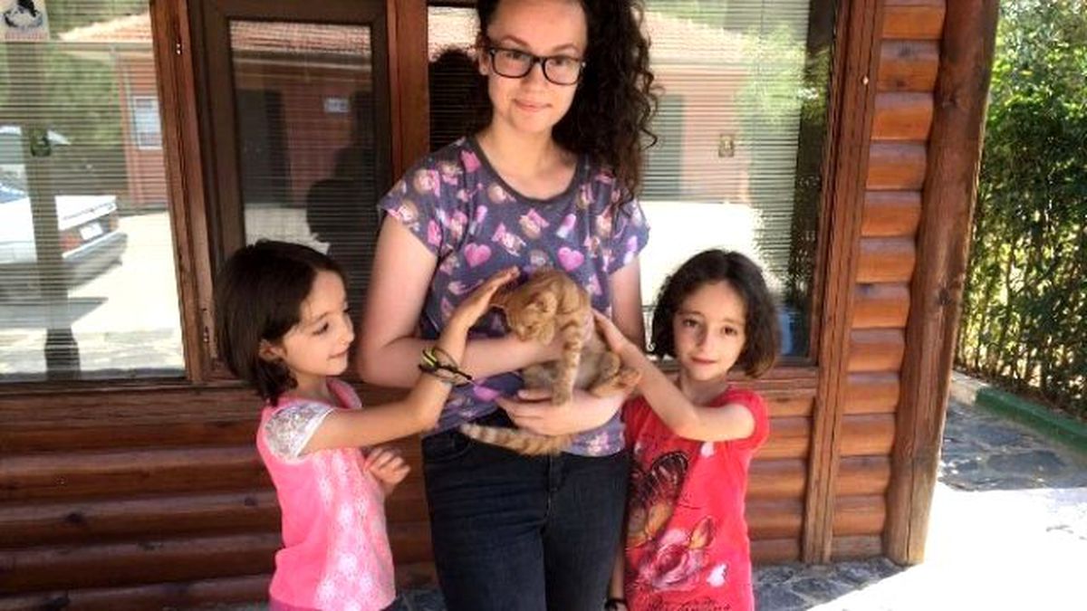 Yavru Kediye Sıcak Yuva