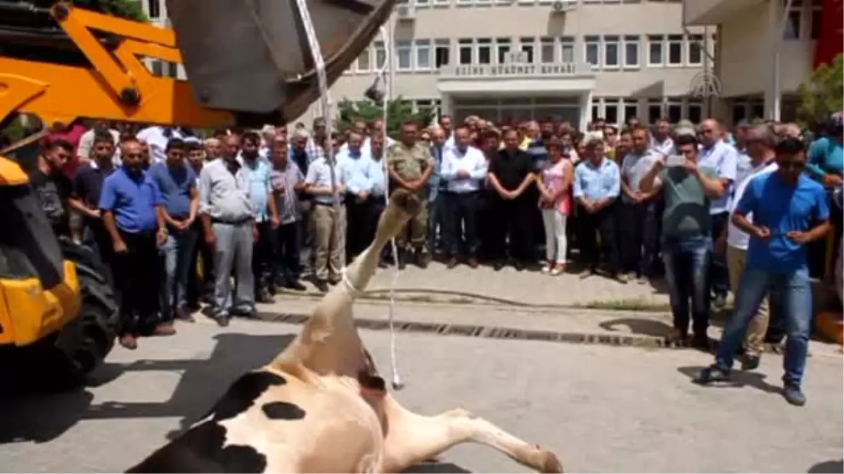 Fetö'nün Darbe Girişimine Tepkiler - Şükür Kurbanı - Çanakkale