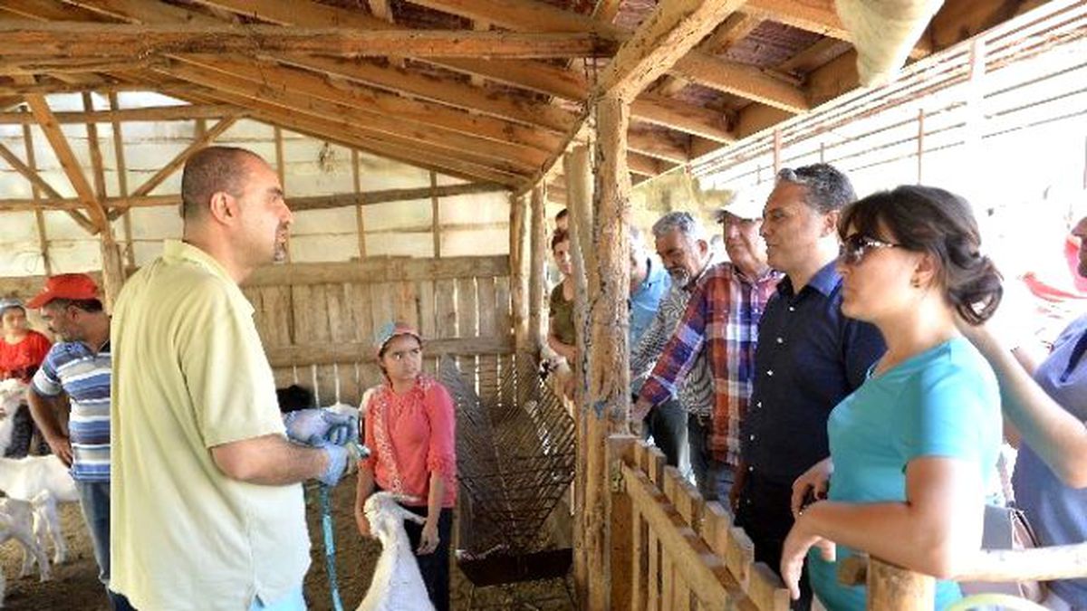 Gagavuz Heyet, Tarım İncelemesinde